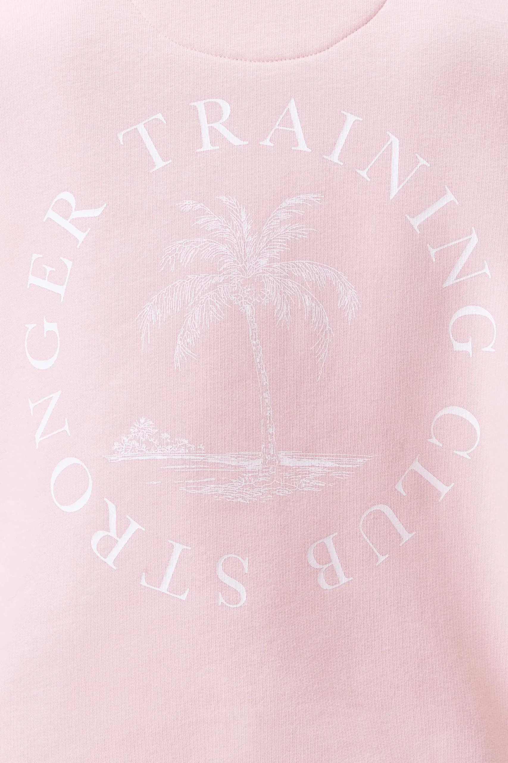 Online STRONGER Half Zip Sweatshirt Chalk Pink
